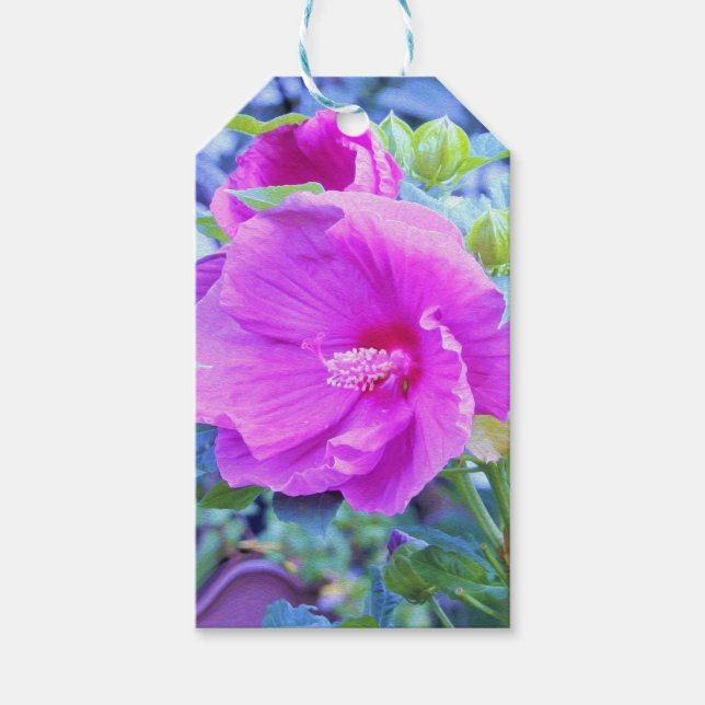 Elegant Rosa Hibiscus med Vågigt Blå blomma Presentetikett (Framsidan)