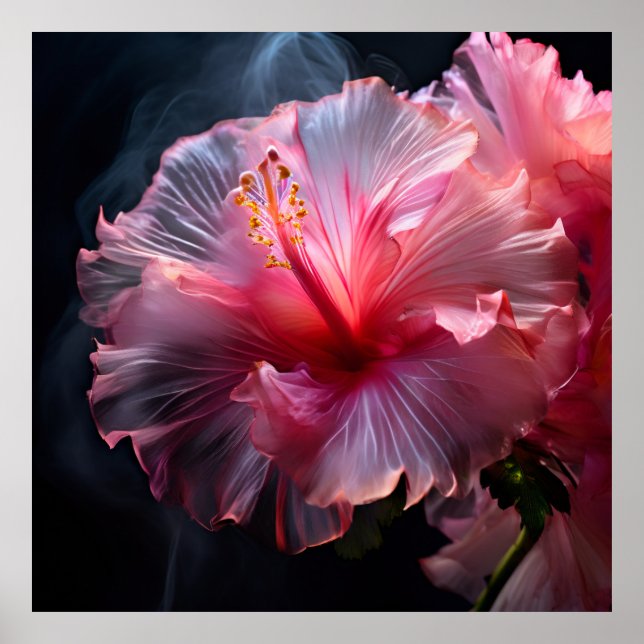 Elegant Rosa Hibiscus Poster (Framsidan)