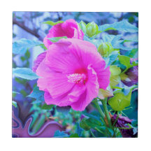 Elegant rosa hibiskusblomma med akvatisk lövverk