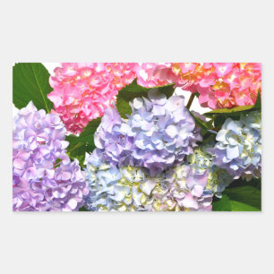 Elegant rosa lila blue blommigt hydrangea bouquet rektangulärt klistermärke