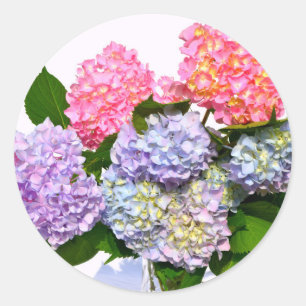 Elegant rosa lila blue blommigt hydrangea bouquet runt klistermärke