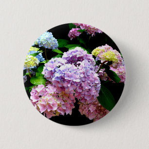 Elegant rosa lila blue blommigt hydrangea trädgår knapp
