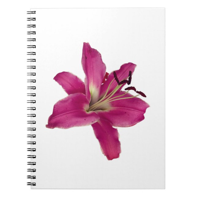 Elegant Rosa Lily - Blommigt Aesthetic Notebook Anteckningsbok (Framsidan)