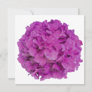 Elegant rosa magenta blommigt hydrangeas ro inbjudningar