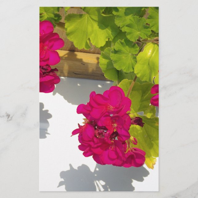 Elegant rosa magenta röd blommigt blommor brevpapper (Framsida)