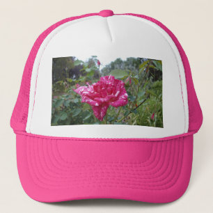 Elegant Rosa och vit stripe Ro, lastbilschaufförer Keps