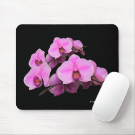 Elegant Rosa Orchids Phalaenopsis Flowers on Black Musmatta