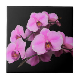 Elegant Rosa Orchids Phalaenopsis on Black Kakelplatta