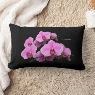 Elegant Rosa Orchids Phalaenopsis on Black Lumbarkudde