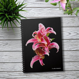 Elegant Rosa Oriental Lilies Anteckningsbok