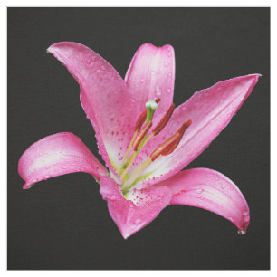 Elegant Rosa Oriental Lily Lilium Stargazer Flower Tyg