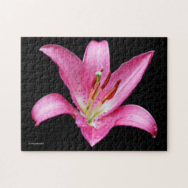 Elegant Rosa Orientalisk Lilja Lilium Stargazer Bl Pussel (Horisontell)