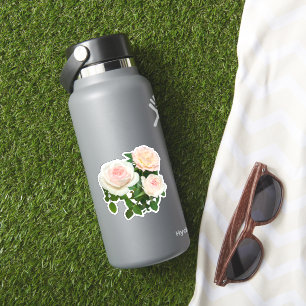 Elegant rosa Peach vit ros blommigt Klistermärken