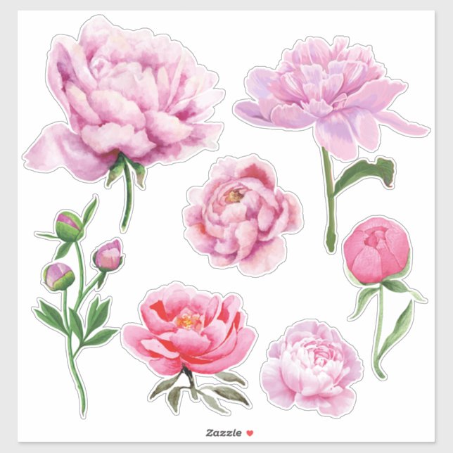 Elegant Rosa Pion  Klistermärken (Ark)