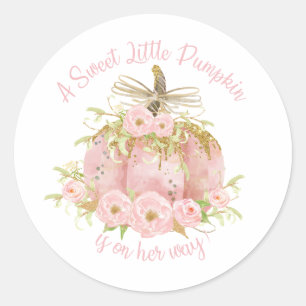 Elegant Rosa Pumpkin Baby Shower Girl Runt Klistermärke