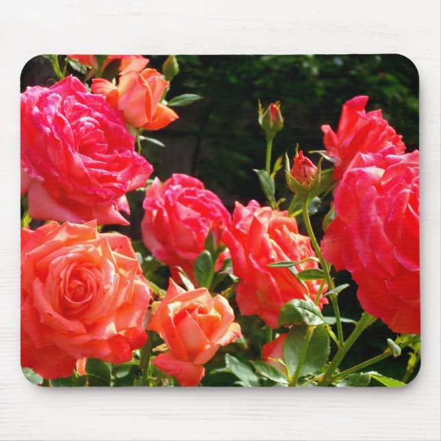 Elegant rosa Red orange blommigt ro Musmatta (Framsidan)
