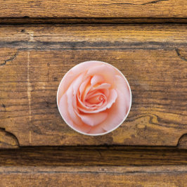 Elegant  Rosa ros Blommigten Knopp