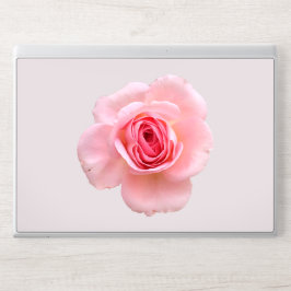 Elegant rosa Ros EliteBook 830 G5/6 HP Laptopskin