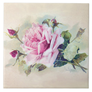 Elegant Rosa ros med Rosenknoppar Kakelplatta