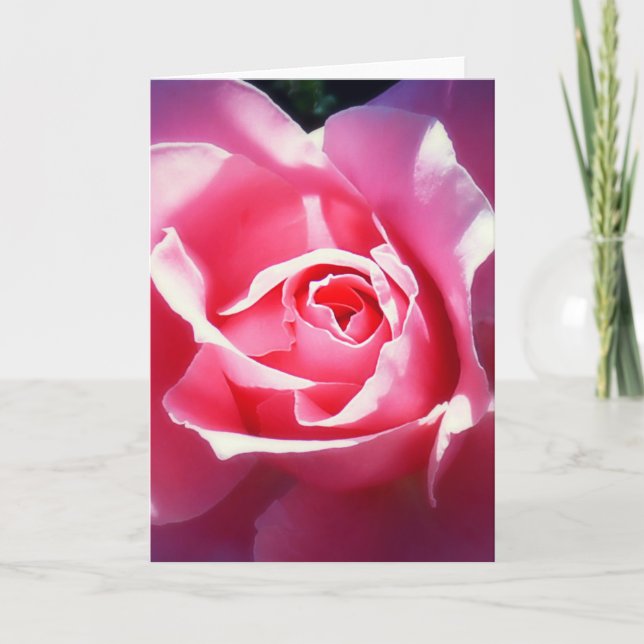 Elegant Rosa ros Valentine Card Helgkort (Framsida)