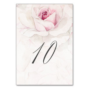 Elegant Rosa ros vattenfärgsfärg Blommigt nr 10 Br Bordsnummer