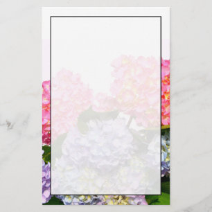 Elegant rosa rosa lila blue blommigts hydrangeas brevpapper