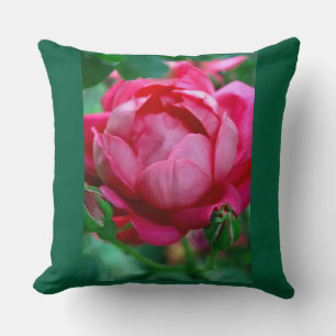 Elegant rosa rosblommig kastkudde med mörk Gr Kudde