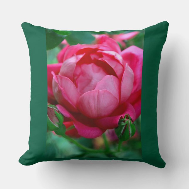 Elegant rosa rosblommig kastkudde med mörk Gr Kudde (Framsida)