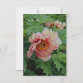 Elegant Rosa ton Peony Anteckningskort