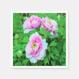 Elegant Rosa Träd Peony Flowers med Gult Center Pappersservett