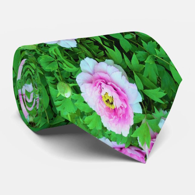 Elegant Rosa Träd Peony Flowers med Gult Center Slips (Rullad)