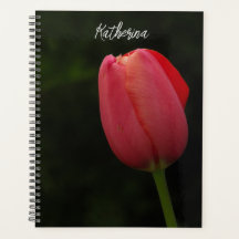 Elegant Rosa Tulip Photo Script Personlig