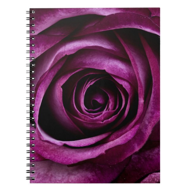 Elegant Rosa Violett Närbild Anteckningsbok (Framsidan)
