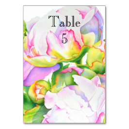 Elegant rosa, vit blommigt, vattenfärg bordsnummer