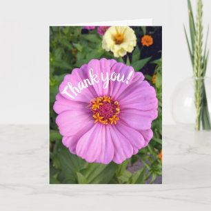 Elegant Rosa Zinnia Blankett - tack Kort