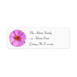 Elegant Rosa Zinnia Flower Return-adressetikett Returadress Etikett