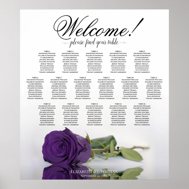 Elegant Royal Lila Ro 16 Bord-passagerardiagram Poster (Framsidan)