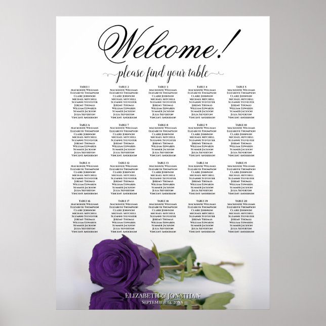 Elegant Royal Lila Ro 20 Bord-passagerardiagram Poster (Framsidan)