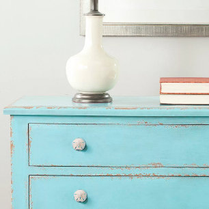 Elegant Sanddollar kustdekor Knopp