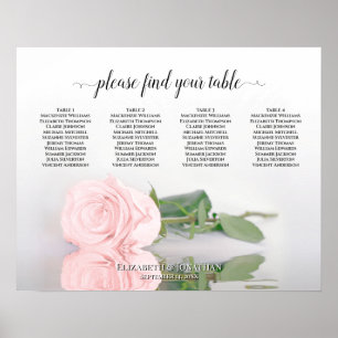 Elegant  sätesdiagram Rosa ros 4 Bord Poster