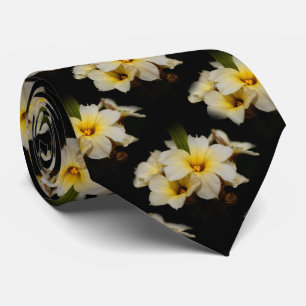 Elegant Satin Flowers on Black Slips