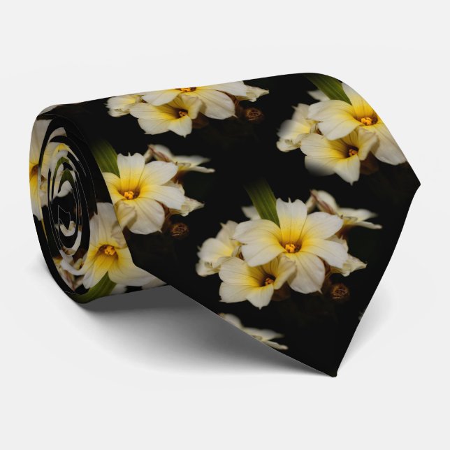 Elegant Satin Flowers on Black Slips (Rullad)