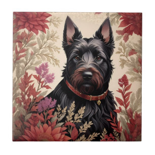 Elegant Scottish Terrier Hund Porträtt Kakelplatta