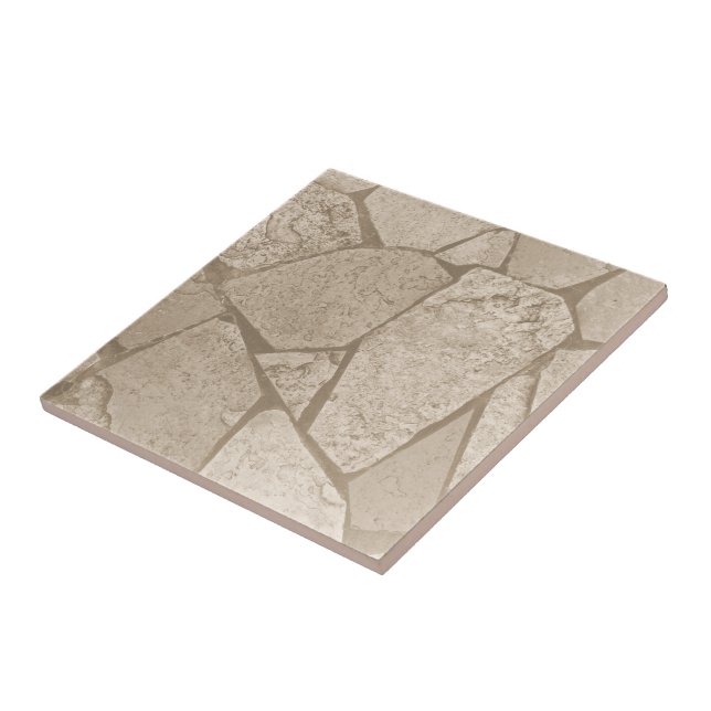 Elegant Sepia Toned Cracks Stones Kakelplatta (Sidan)