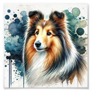 Elegant Shetland Sheepdog Watercolor Art Fototryck