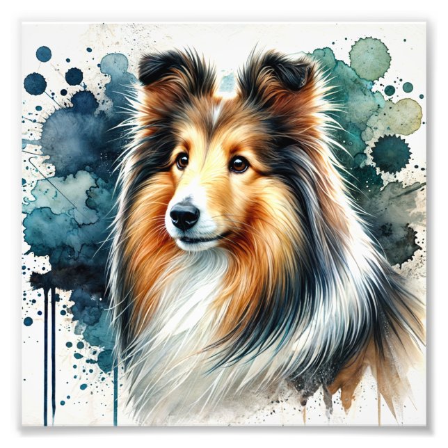 Elegant Shetland Sheepdog Watercolor Art Fototryck (Framsidan)