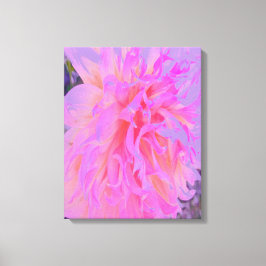 Elegant Shock rosa och Magenta Decorative Dahlia Canvastryck