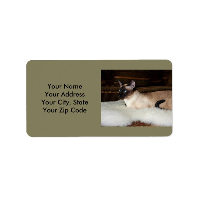 Elegant Siamese Cat Adressetikett (Framsidan)