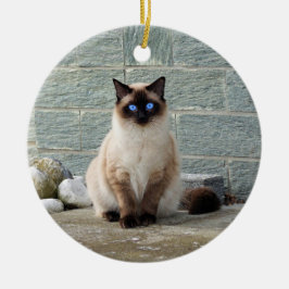 Elegant Siamese Cat Photo Julgransprydnad Keramik
