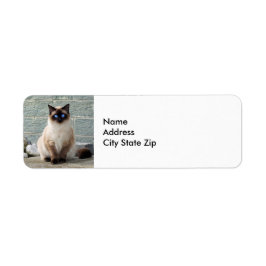 Elegant Siamese Cat Photo Label Returadress Etikett
